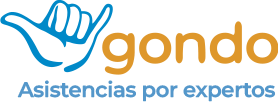 Gondo · Asistencias por expertos